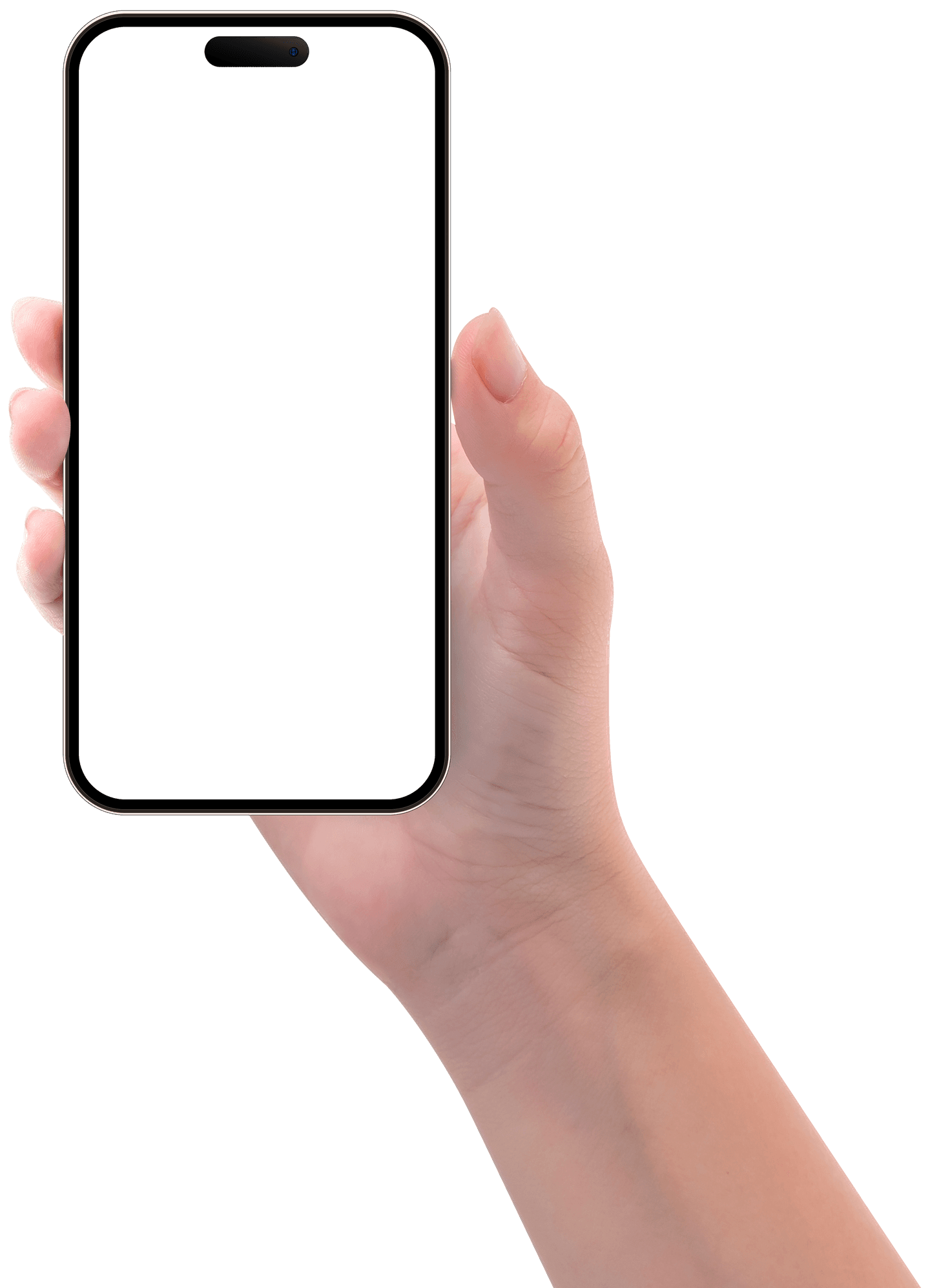 A phone showing the CueDuck Board.